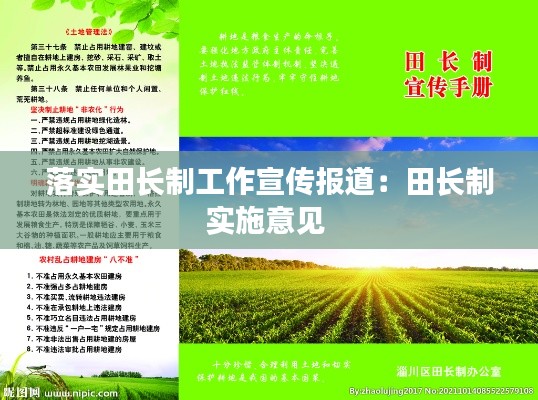 落实田长制工作宣传报道：田长制实施意见 