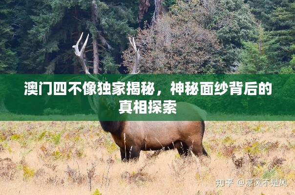 澳门四不像独家揭秘，神秘面纱背后的真相探索