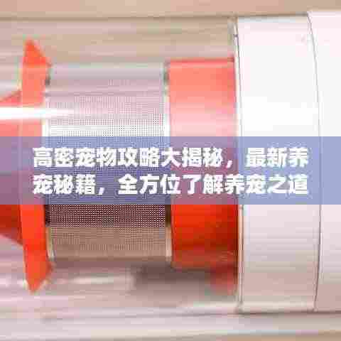 高密宠物攻略大揭秘，最新养宠秘籍，全方位了解养宠之道