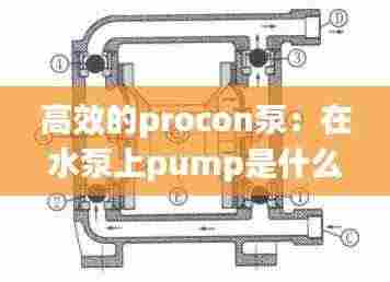国色天姿 第4页