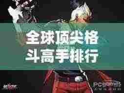 全球顶尖格斗高手排行榜，实力较量不容小觑