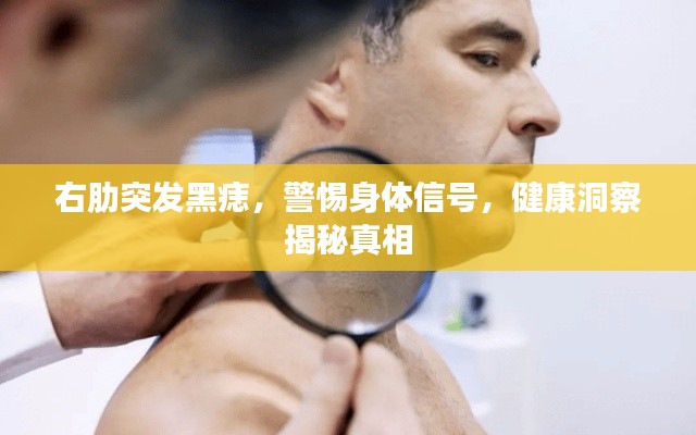 七贵三公 第4页