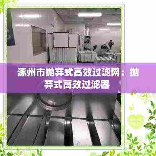 涿州市抛弃式高效过滤网：抛弃式高效过滤器 
