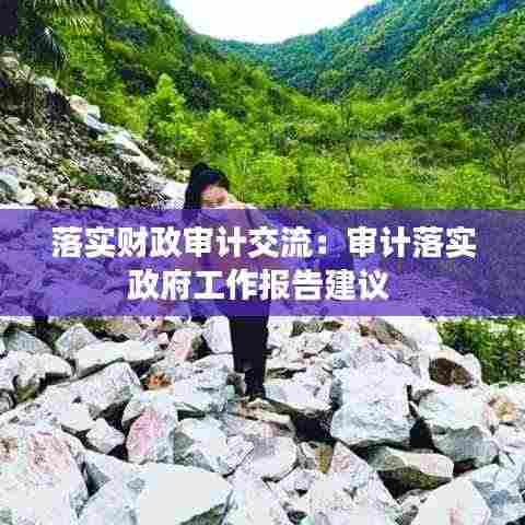 落实财政审计交流：审计落实政府工作报告建议 