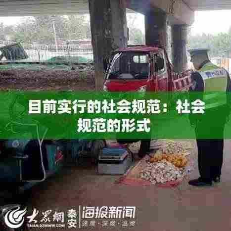 目前实行的社会规范：社会规范的形式 