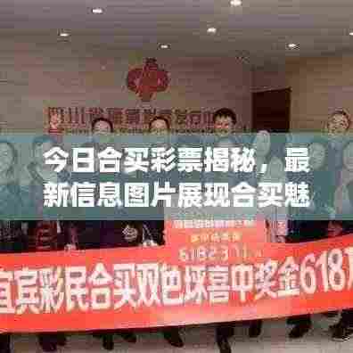 今日合买彩票揭秘,最新信息图片展现合买魅力与趋势
