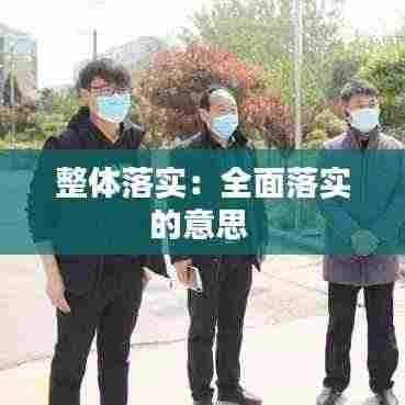 整体落实：全面落实的意思 