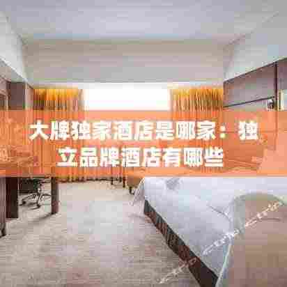 大牌独家酒店是哪家：独立品牌酒店有哪些 