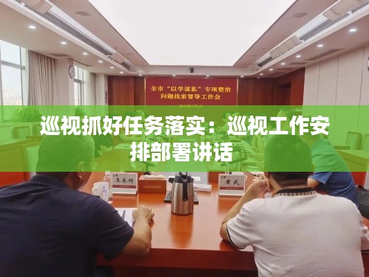 巡视抓好任务落实：巡视工作安排部署讲话 