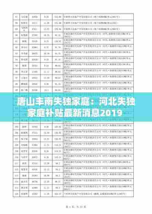 唐山丰南失独家庭：河北失独家庭补贴最新消息2019 