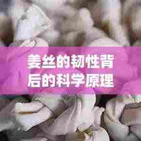 姜丝的韧性背后的科学原理揭秘