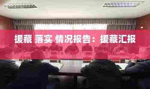 援藏 落实 情况报告：援藏汇报 