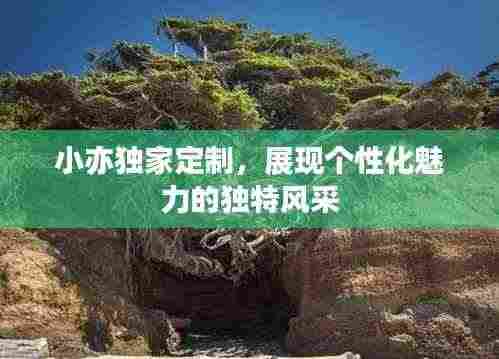 小亦独家定制，展现个性化魅力的独特风采