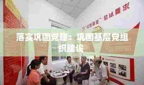 落实巩固党建：巩固基层党组织建设 