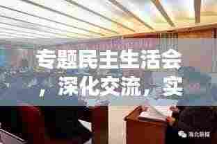 专题民主生活会，深化交流，实效推进工作进展