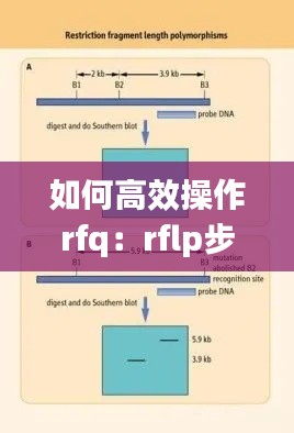 如何高效操作rfq：rflp步骤 