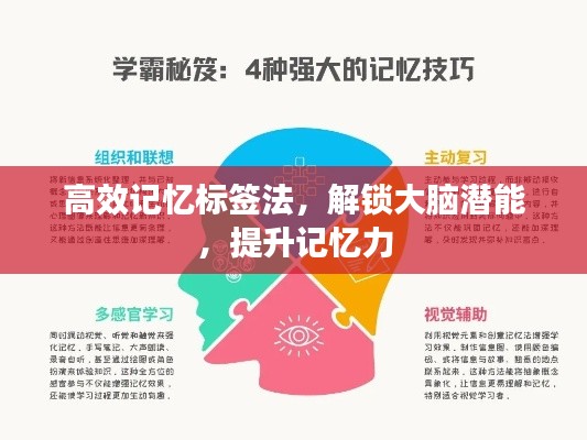 高效记忆标签法，解锁大脑潜能，提升记忆力