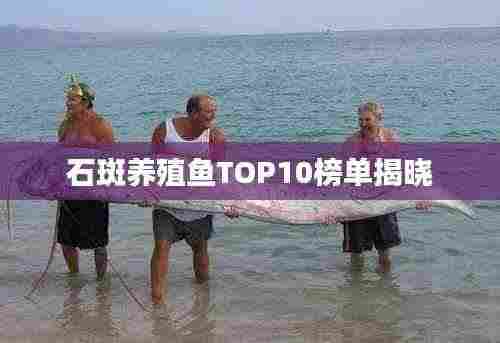 石斑养殖鱼TOP10榜单揭晓