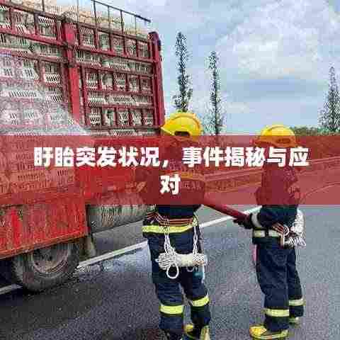 盱眙突发状况，事件揭秘与应对