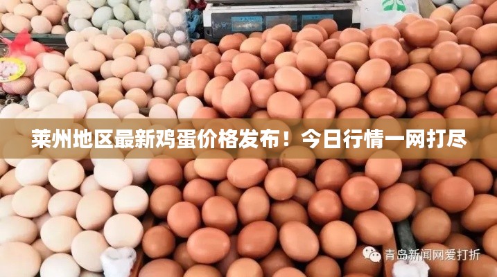 莱州地区最新鸡蛋价格发布！今日行情一网打尽