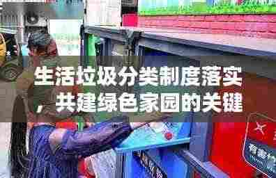 生活垃圾分类制度落实，共建绿色家园的关键行动举措！