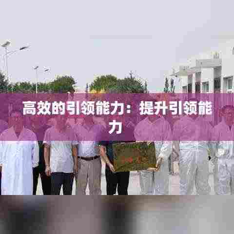 高效的引领能力：提升引领能力 