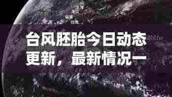 台风胚胎今日动态更新，最新情况一览