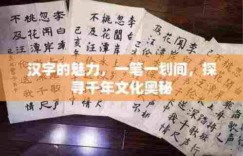 汉字的魅力，一笔一划间，探寻千年文化奥秘