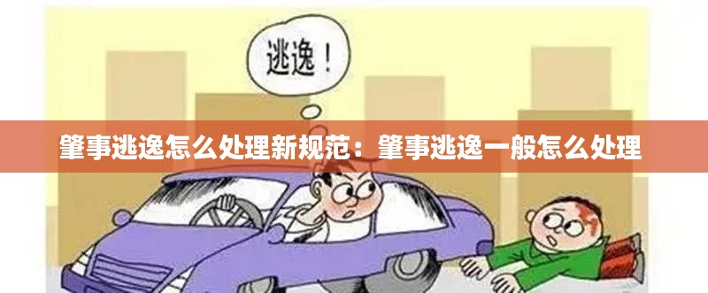 肇事逃逸怎么处理新规范：肇事逃逸一般怎么处理 