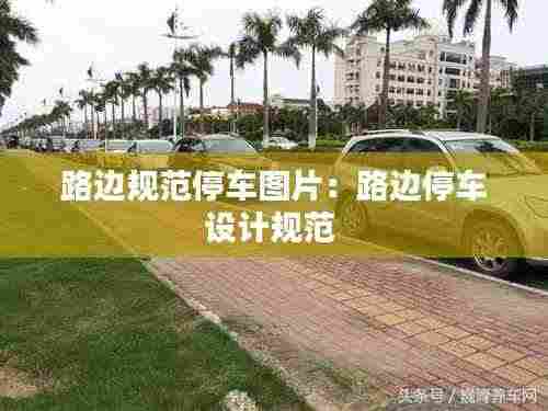 路边规范停车图片：路边停车设计规范 