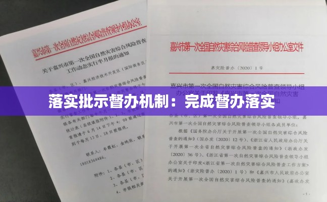 落实批示督办机制：完成督办落实 