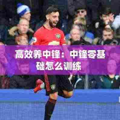 高效养中锋：中锋零基础怎么训练 