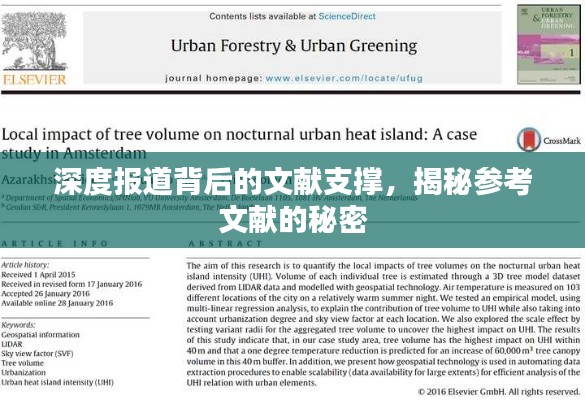 深度报道背后的文献支撑，揭秘参考文献的秘密
