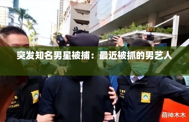 突发知名男星被捕：最近被抓的男艺人 