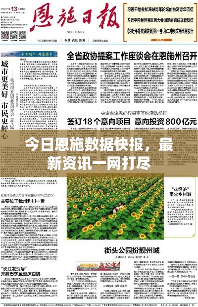 今日恩施数据快报，最新资讯一网打尽