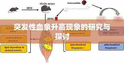 突发性血象升高现象的研究与探讨