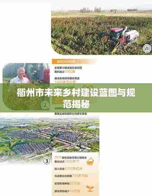 衢州市未来乡村建设蓝图与规范揭秘