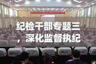 纪检干部专题三，深化监督执纪，助力全面从严治党纵深发展