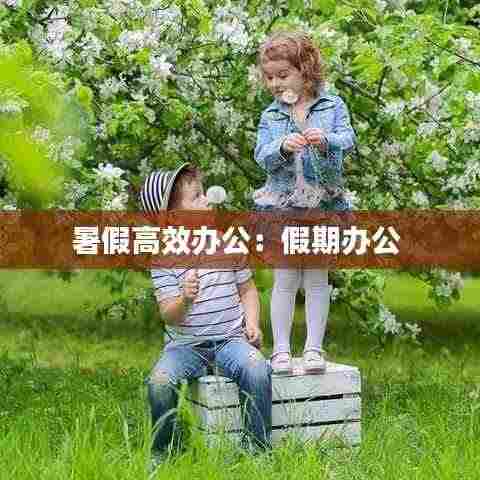 暑假高效办公：假期办公 