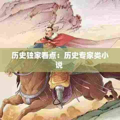历史独家看点：历史专家类小说 