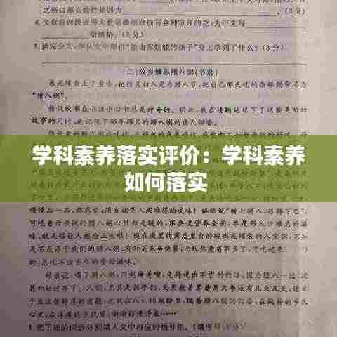 学科素养落实评价：学科素养如何落实 