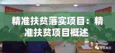 精准扶贫落实项目：精准扶贫项目概述 