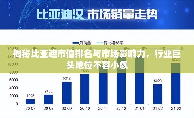 揭秘比亚迪市值排名与市场影响力，行业巨头地位不容小觑