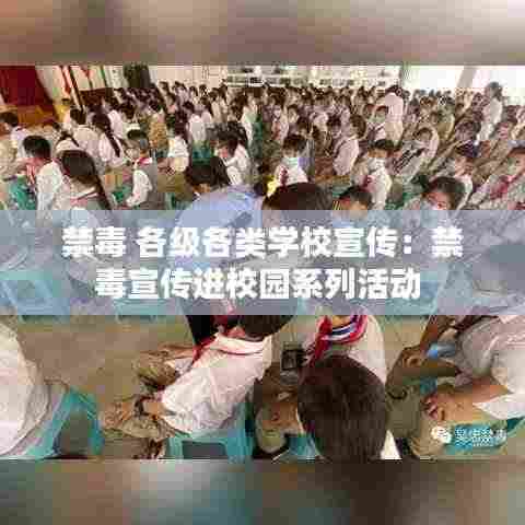 禁毒 各级各类学校宣传：禁毒宣传进校园系列活动 