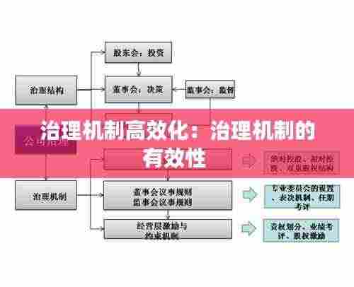 治理机制高效化：治理机制的有效性 