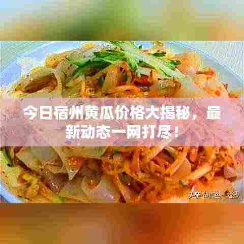 张皇铺饰 第3页