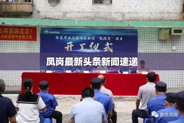 凤岗最新头条新闻速递