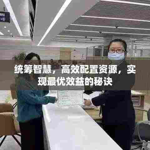统筹智慧，高效配置资源，实现最优效益的秘诀