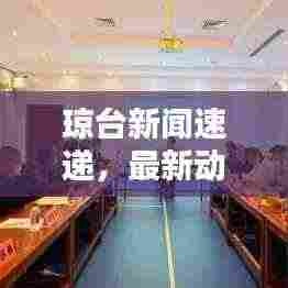 琼台新闻速递，最新动态与热点话题全揭秘