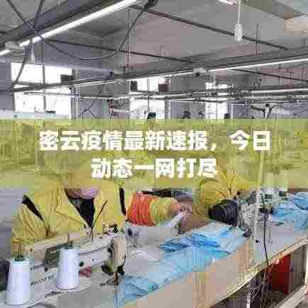 密云疫情最新速报，今日动态一网打尽